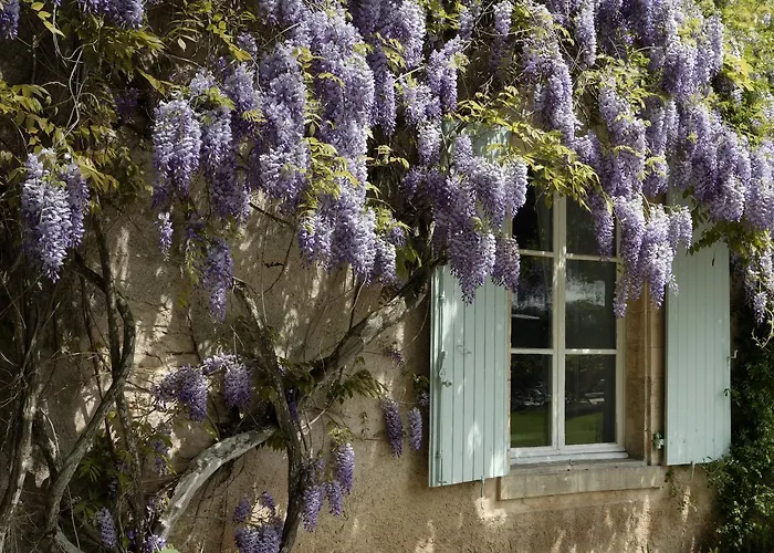 De La Commanderie Condat-sur-Vezere